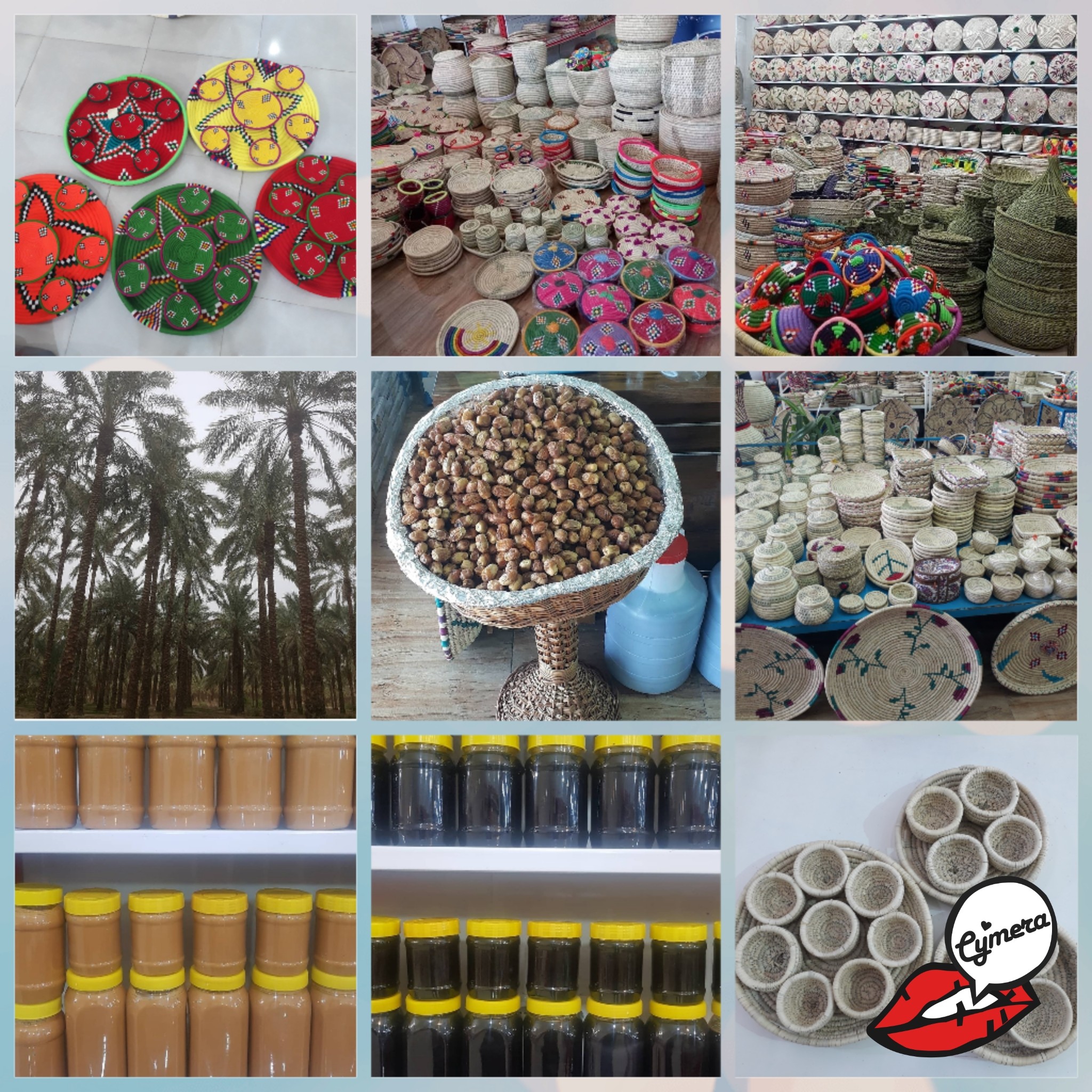 فروش غیر حضوری محصولات  نخل دشتستان
