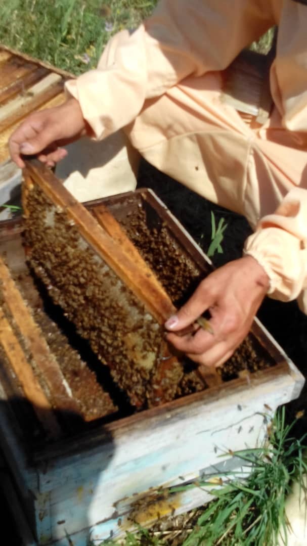عسل 100%طبیعی و درمانی